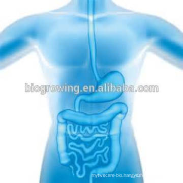 Probiotics for bowel flora balance